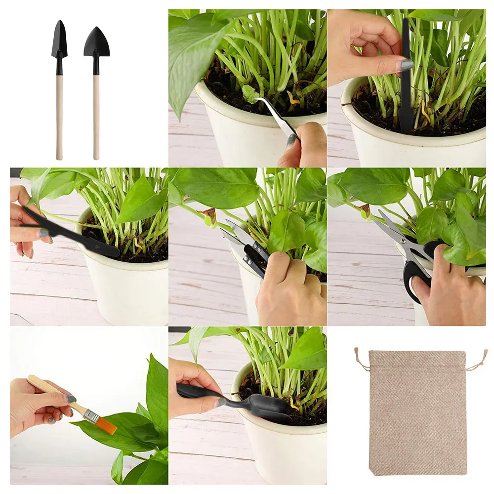 مجموعة أدوات النباتات العصارية - مراجعة Succulent Set وسعره