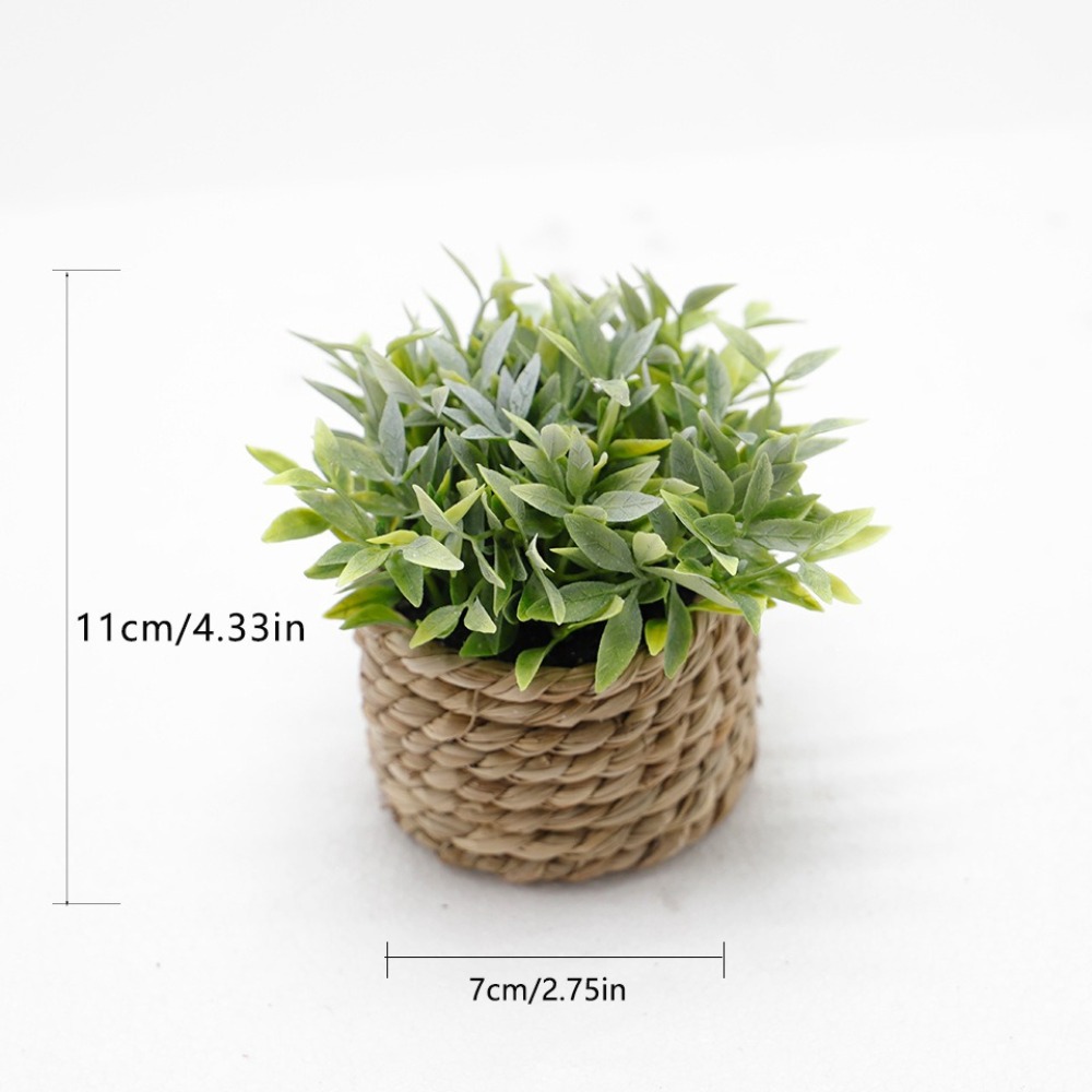 الأخضر الاصطناعي بوعاء النبات  - مراجعة Succulent Set وسعره