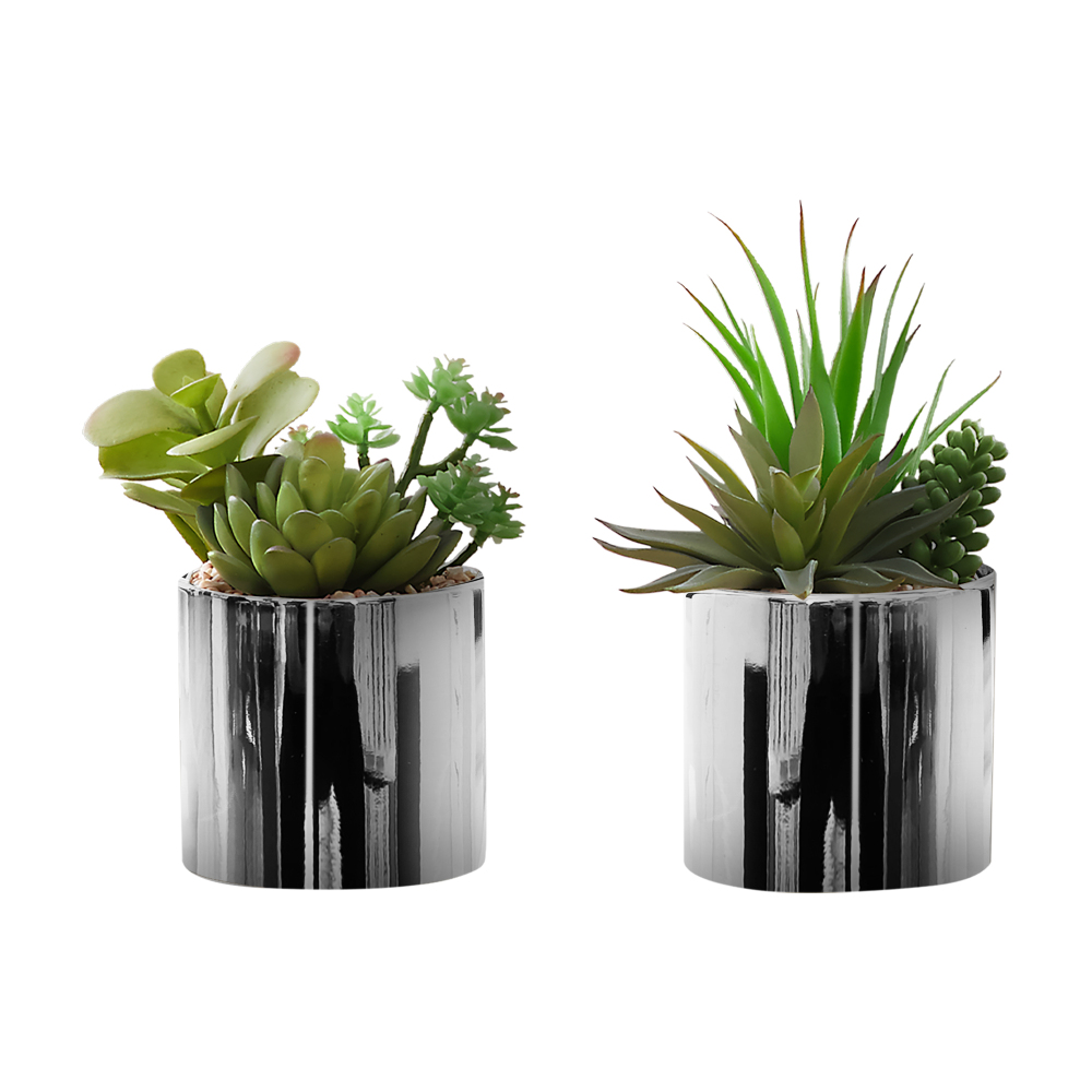 مجموعة من نباتين صناعيين، نبات - مراجعة Succulent Set وسعره