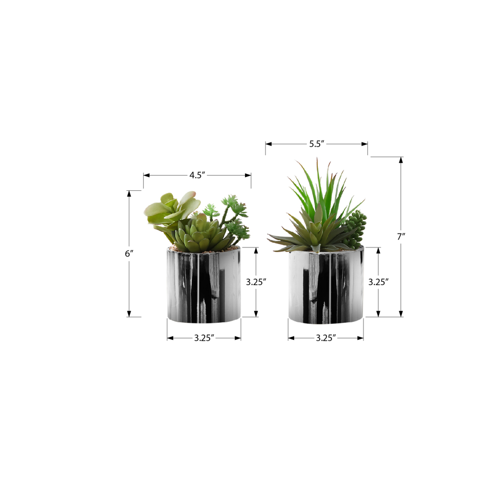 مجموعة من نباتين صناعيين، نبات - مراجعة Succulent Set وسعره