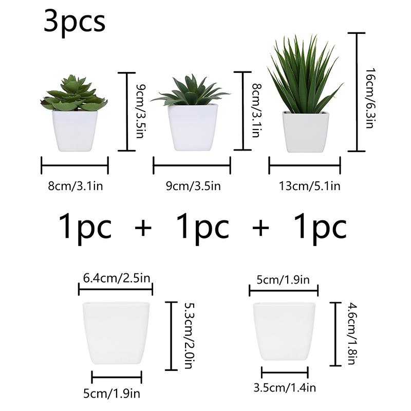 نبات اصطناعي دائم الخضرة ، منا - مراجعة Succulent Set وسعره