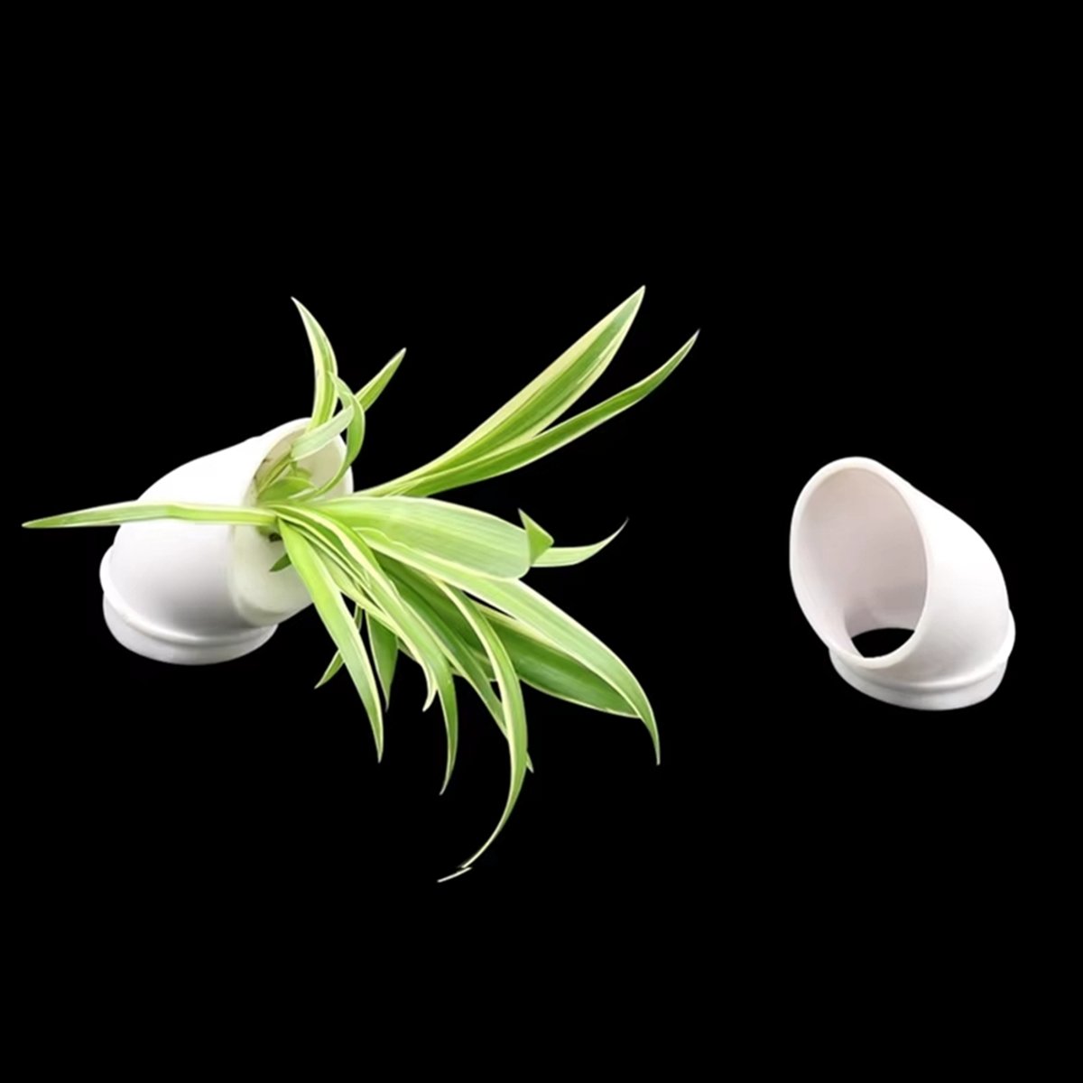 وعاء زراعة عمودي للزراعة المائ - مراجعة Plant Pot وسعره