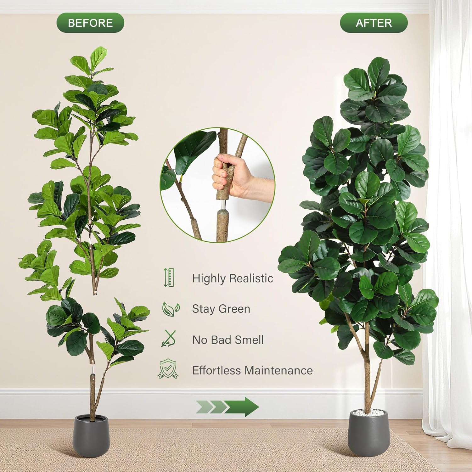 4FT/5FT/6FT/7FT كمان ورقة شجرة - مراجعة Fiddle Leaf Fig وسعره
