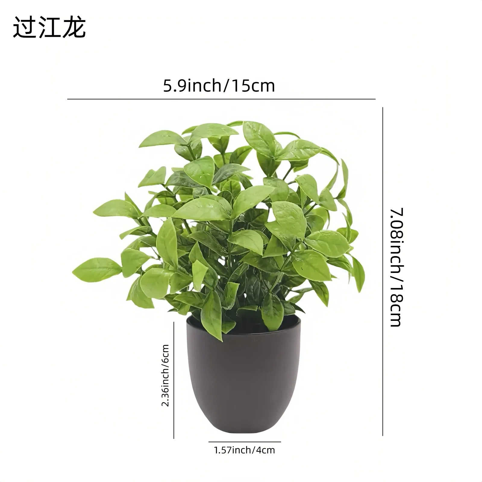 نبات بونساي اصطناعي أخضر، زينة - مراجعة Succulent Set وسعره