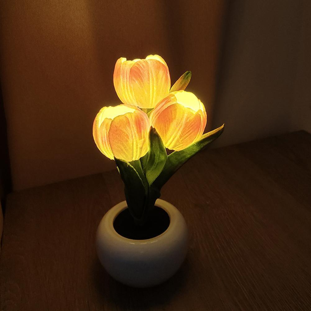 مصباح طاولة على شكل نبتة مزروع - مراجعة Plant Pot وسعره