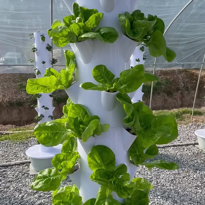 مع Led تنمو ضوء شجرة الفضاء بر - مراجعة Plant Pot وسعره