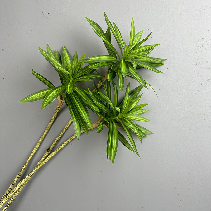 نباتات خضراء مقلدة 3 رؤوس زنبق - مراجعة Snake Plant وسعره