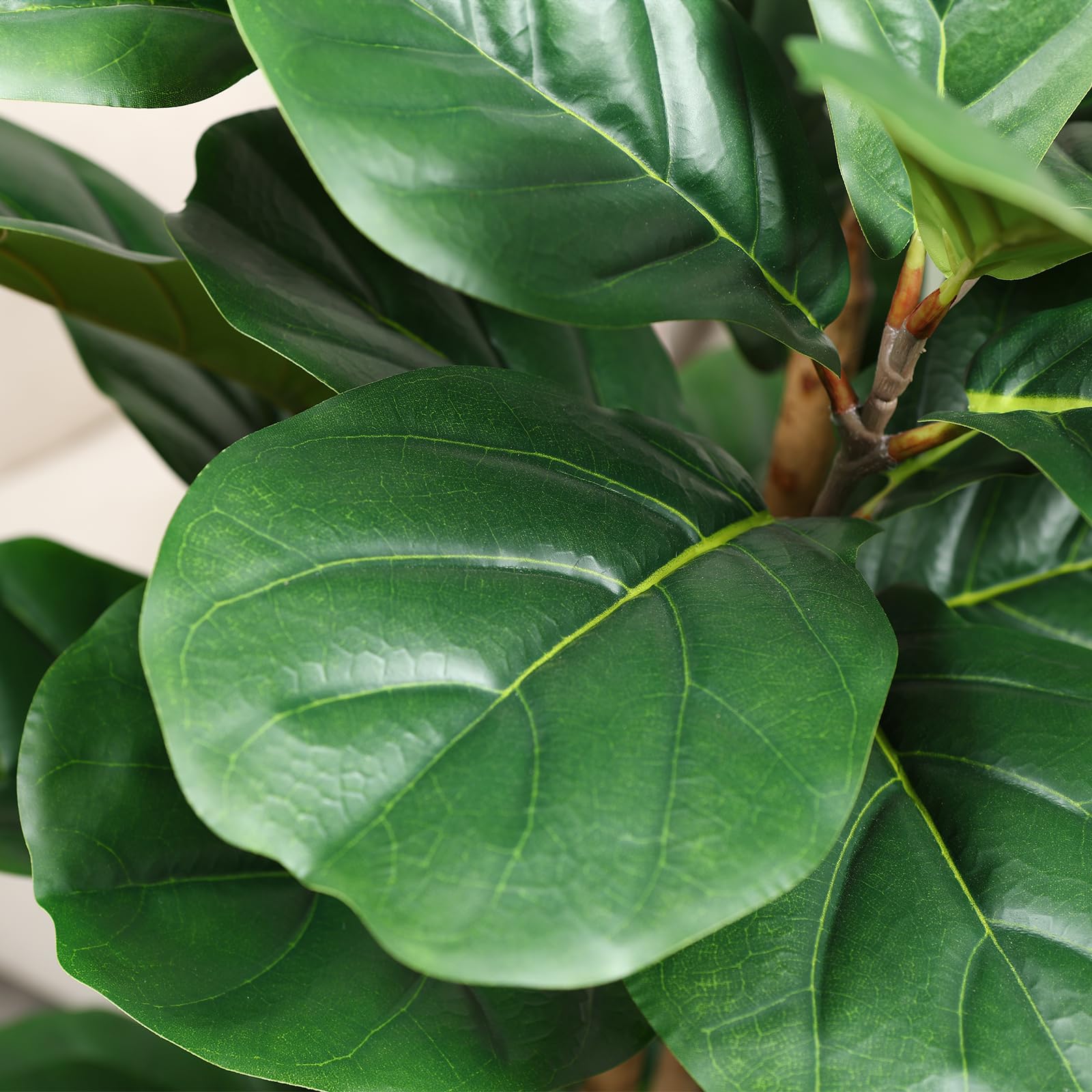 شجرة تين فايلد اصطناعية مع وعا - مراجعة Fiddle Leaf Fig وسعره